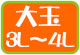 大玉3L~4L