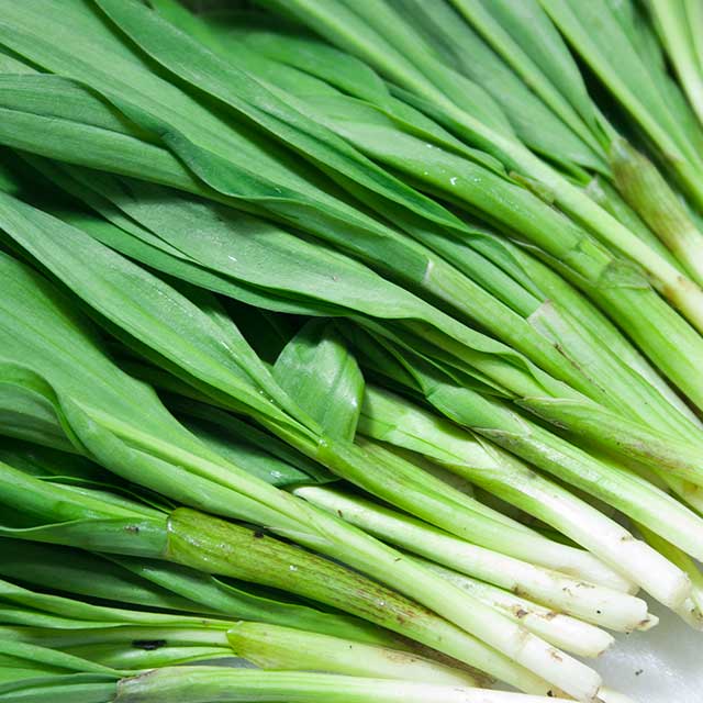 極細行者にんにく 1Kg 極細行者にんにく 1Kg