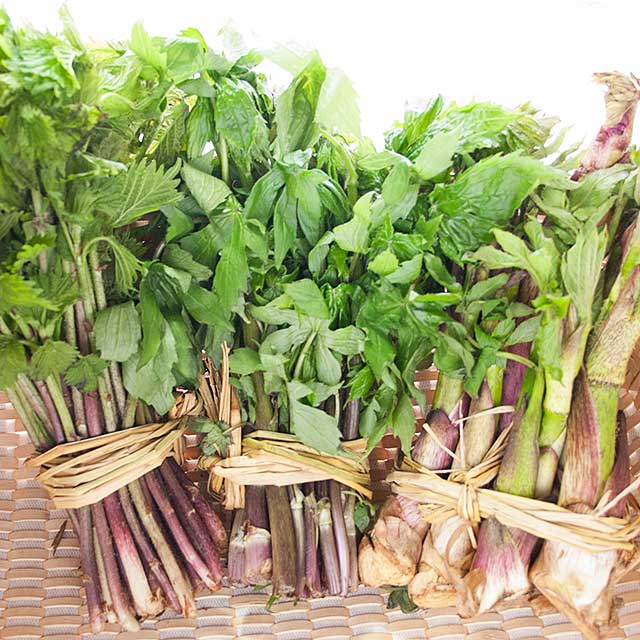 山菜トリオ セット 山菜トリオ セット