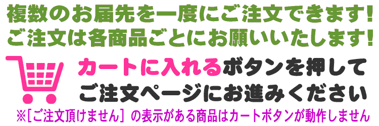 カートボタンを押してご注文ください