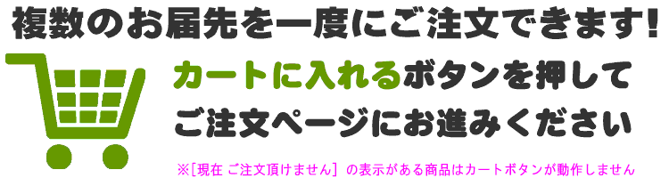 カートボタンを押してご注文ください