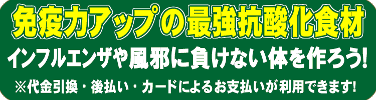 免疫力アップの最強抗酸化食材