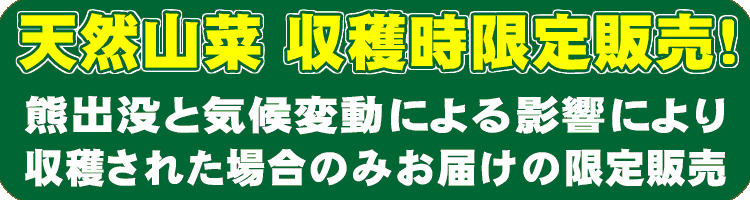 しどけ（モミジガサ） 通販 この美味しさが分かれば山菜通？