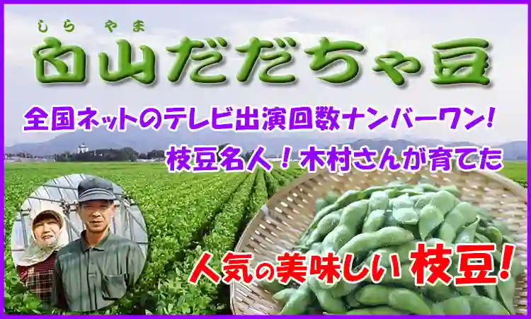 木村さんの白山だだちゃ豆