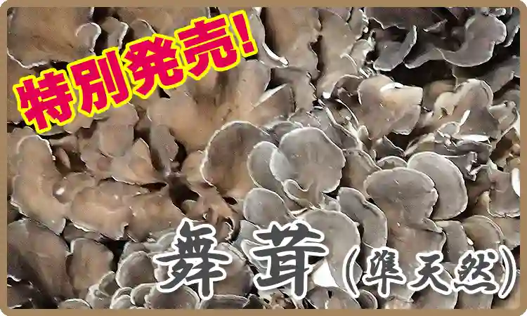 舞茸（準天然）
