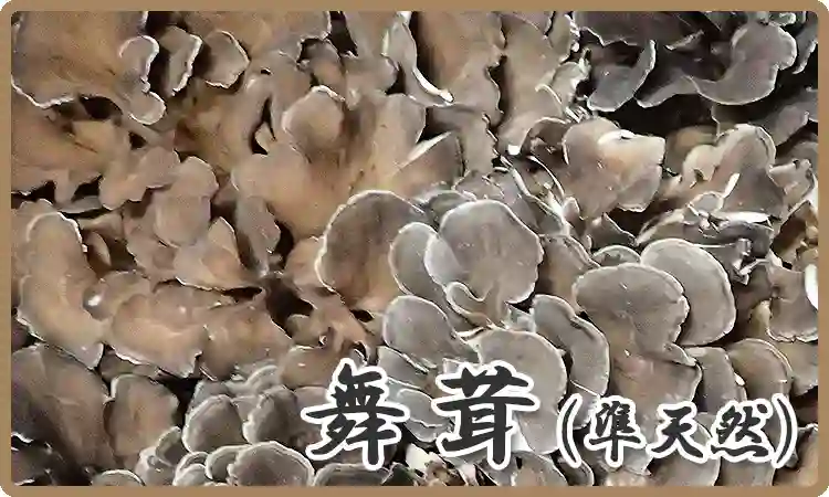 舞茸（準天然）