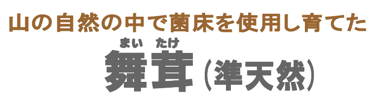 舞茸（準天然）
