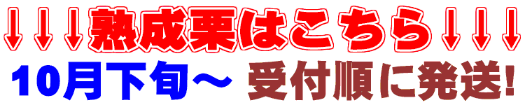 熟成栗はこちら