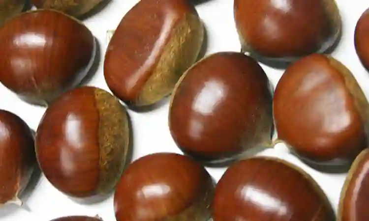 とても甘くて美味しい栗