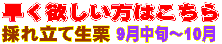 早く欲しい方はこちら