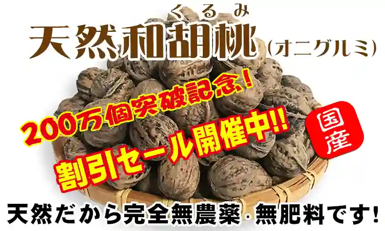 鬼クルミ20キロ 果菜