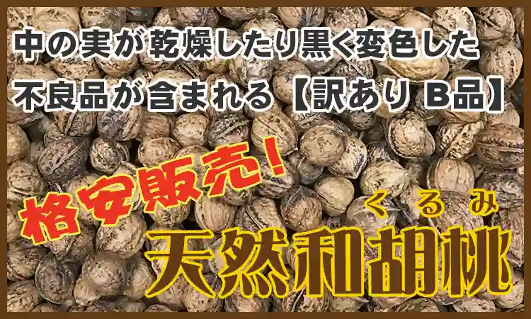 国産 天然和くるみ B品