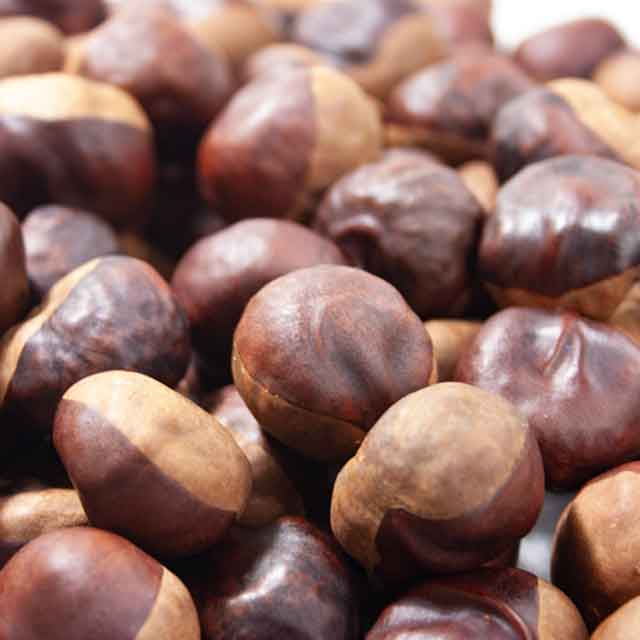 天然栃の実 1Kg