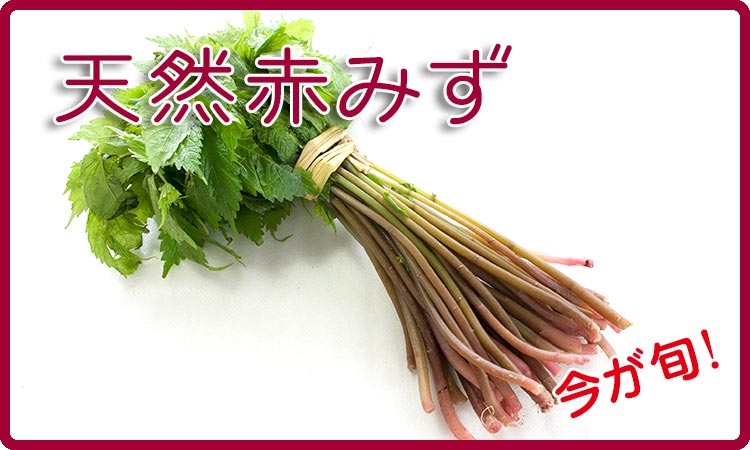 天然赤みず