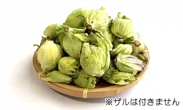 ※大きさは大小混在で収穫状況しだいになります。