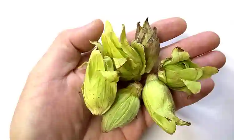 小粒な物も含まれます