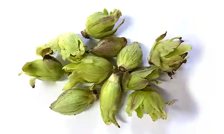 小粒な物も含まれます