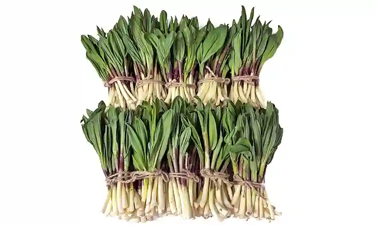 行者にんにく1キロ 幻の山菜 元祖・行者にんにく 1Kg 発祥店からお届け