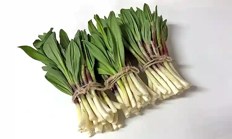 幻の山菜 元祖・行者にんにく 300g 発祥店からお届け