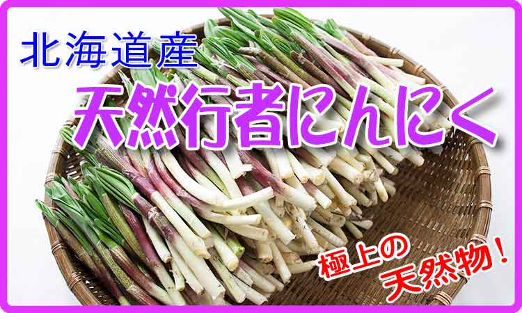 北海道産 天然行者にんにく