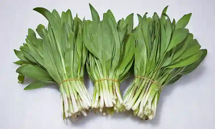 幻の山菜 元祖・行者にんにく 300g 発祥店からお届け