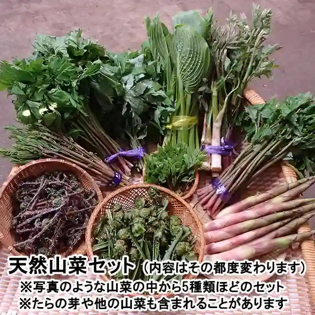おまかせ！天然山菜 ４月上中旬お届けセット