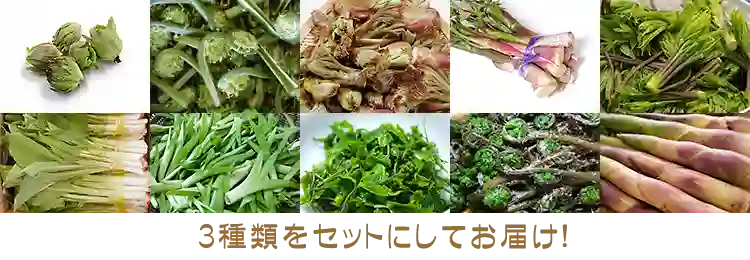 ※このような中から3種類ほど 内容はその都度変わります