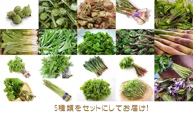 ※このような中から5種類ほど 内容はその都度変わります