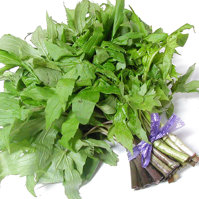 しどけ（モミジガサ） 通販 この美味しさが分かれば山菜通？