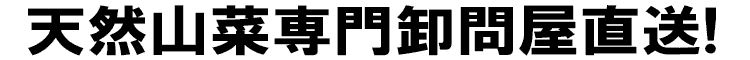 天然山菜専門卸問屋直送