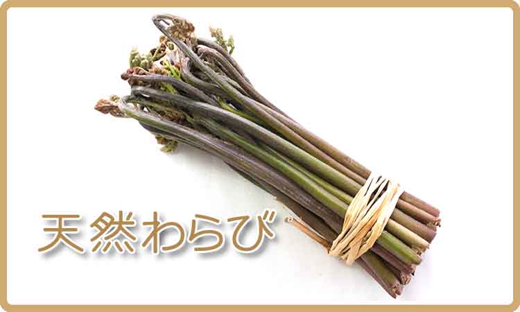 わらび 通販 おいしいと評判の天然物
