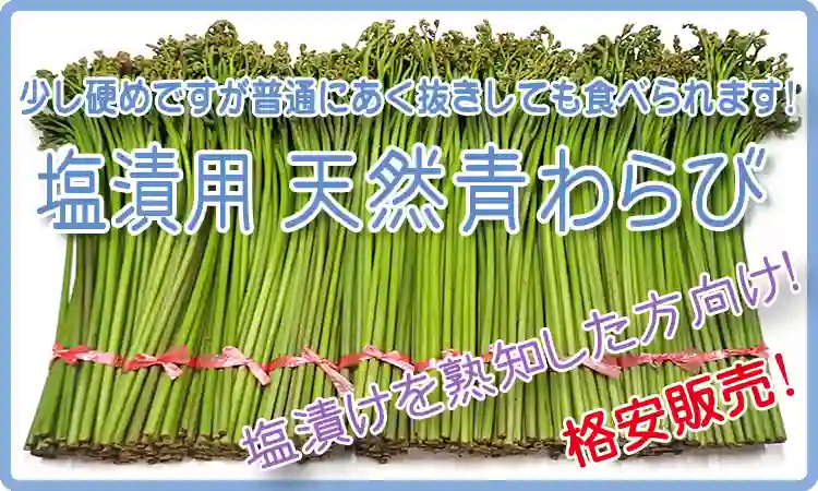 塩漬用 天然青わらび
